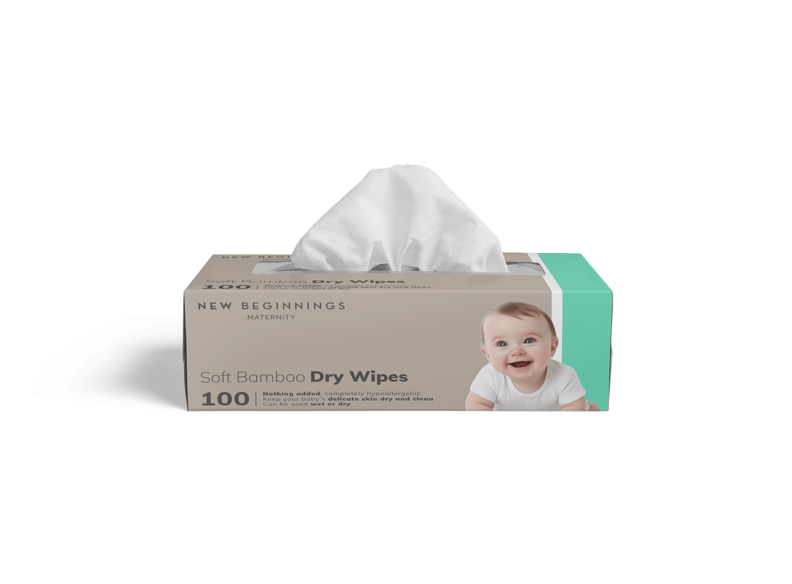 Dry Wipes 100pk